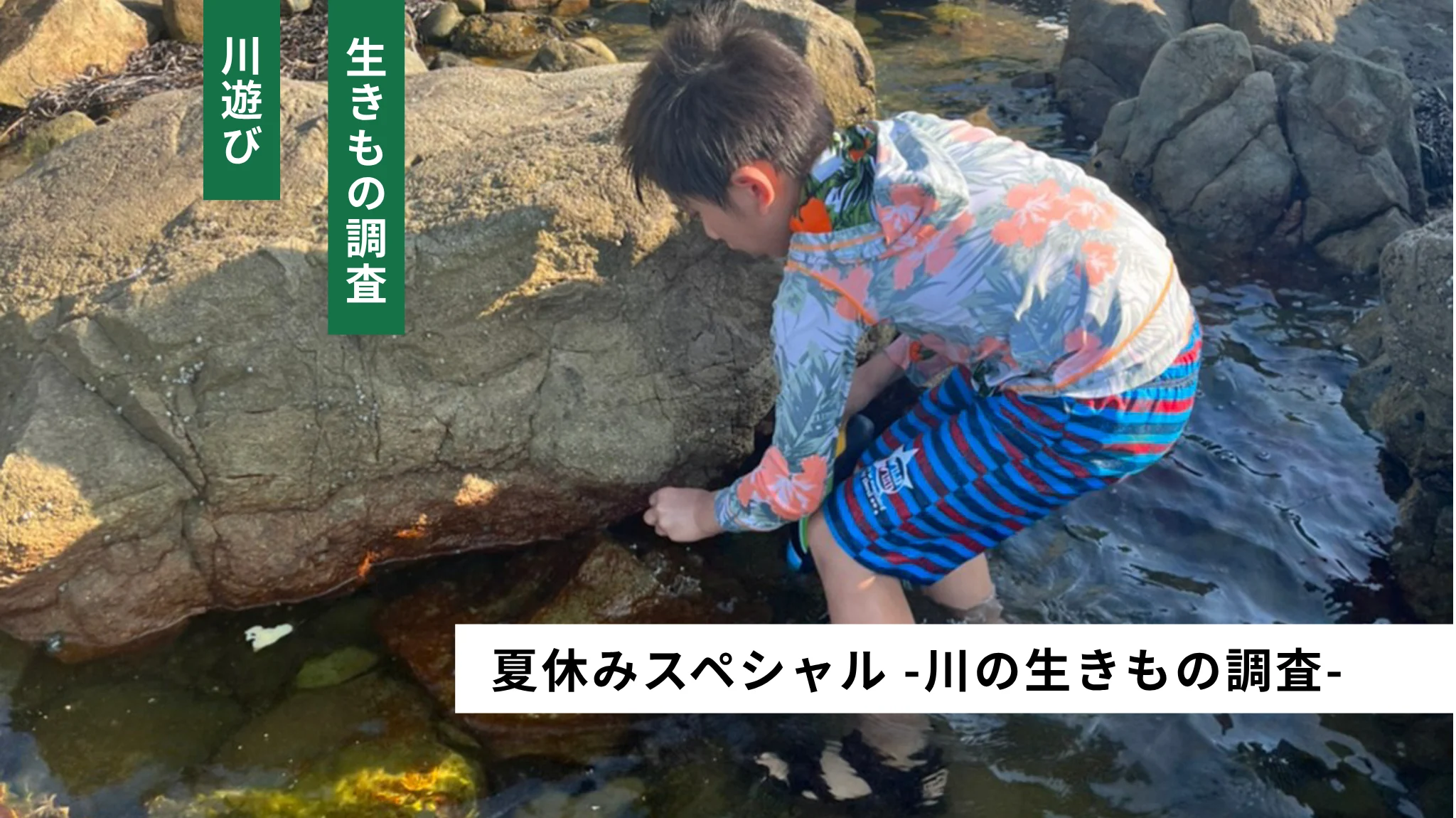 夏休みスペシャル